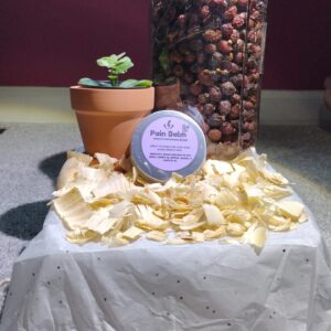 Jar, plant, balm on tissue-covered surface.