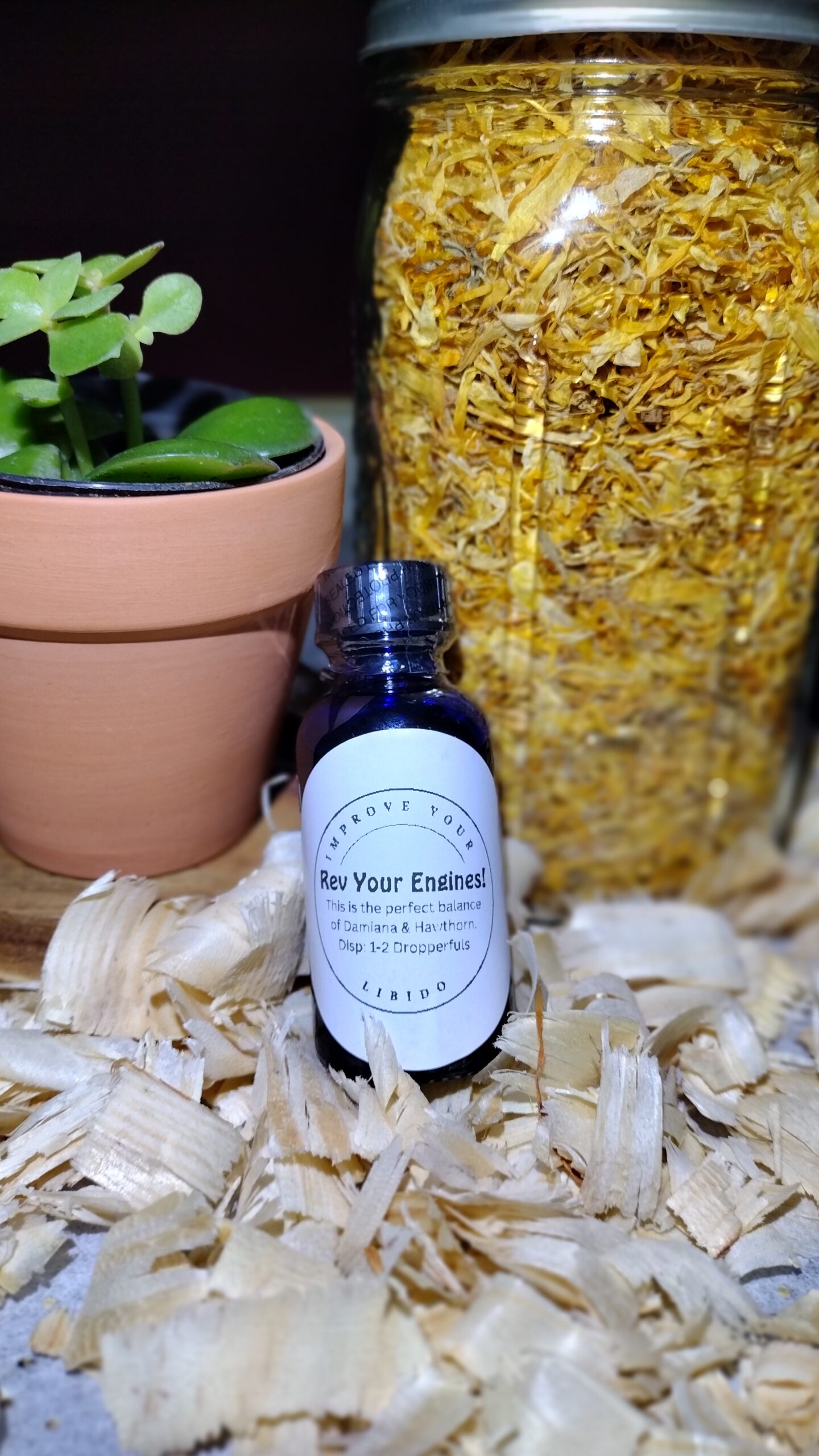 Suggested Dosage for Rev Your Engines