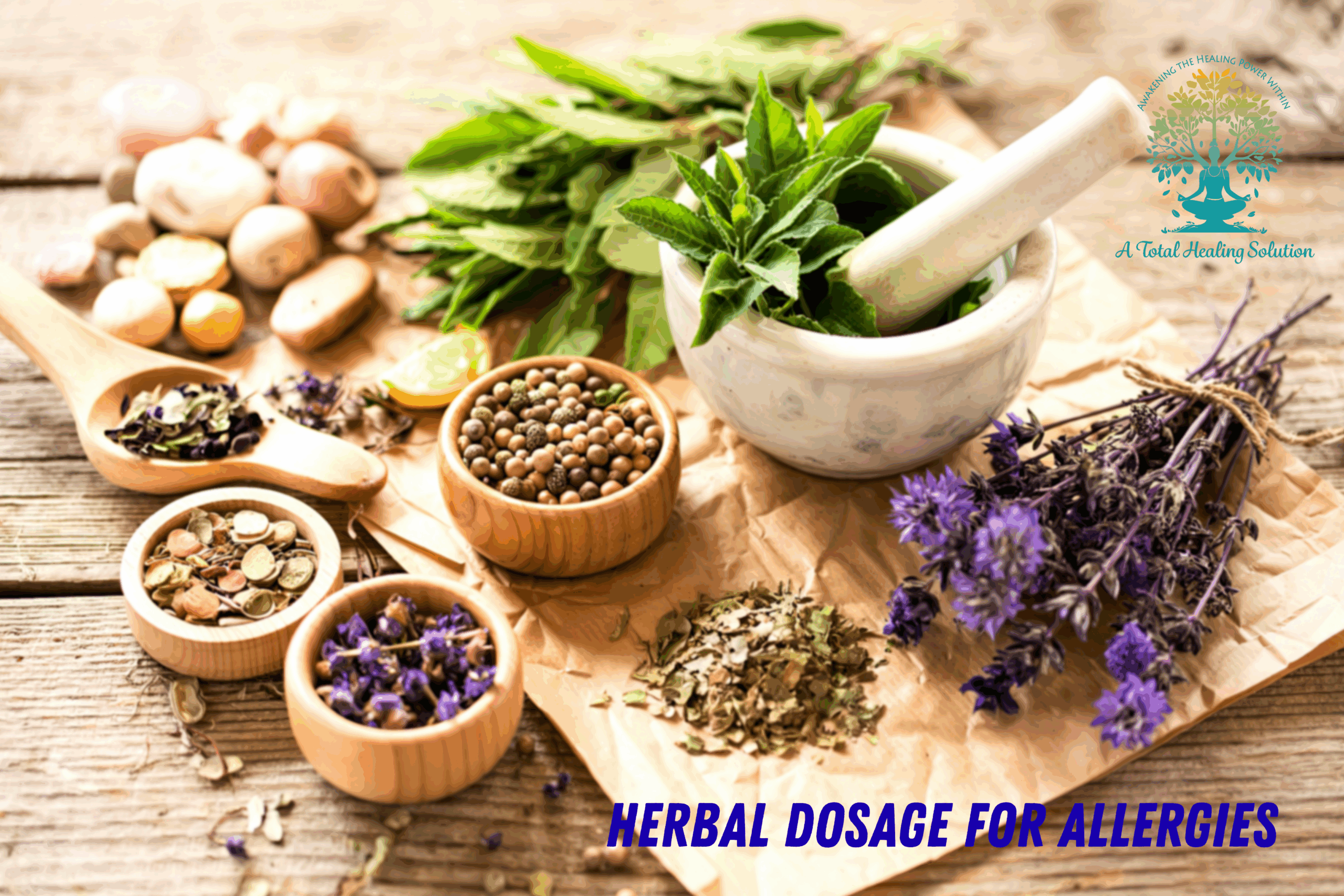 Dosage Suggestions for: Get Out of the Slow Lane increase gut motility increased bowel movements improving bowel motility